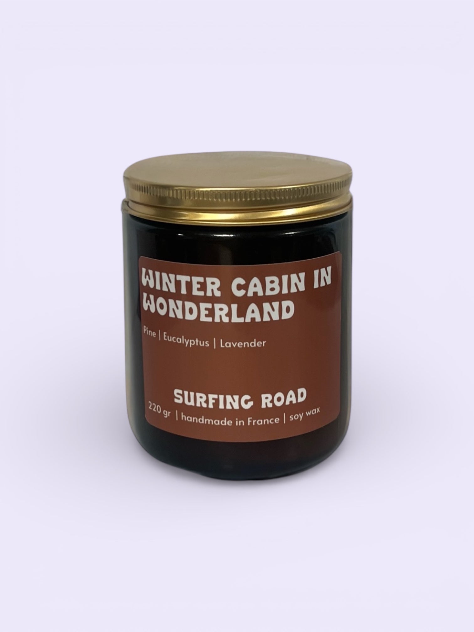 Winter cabin in wonderland