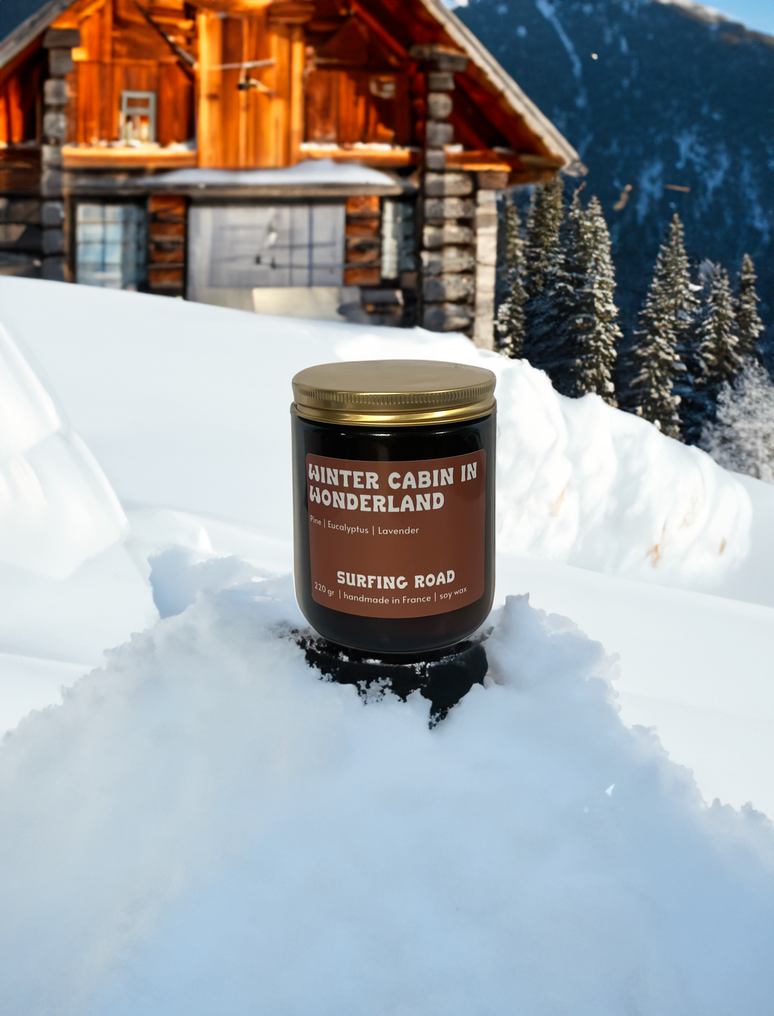 Winter cabin in wonderland